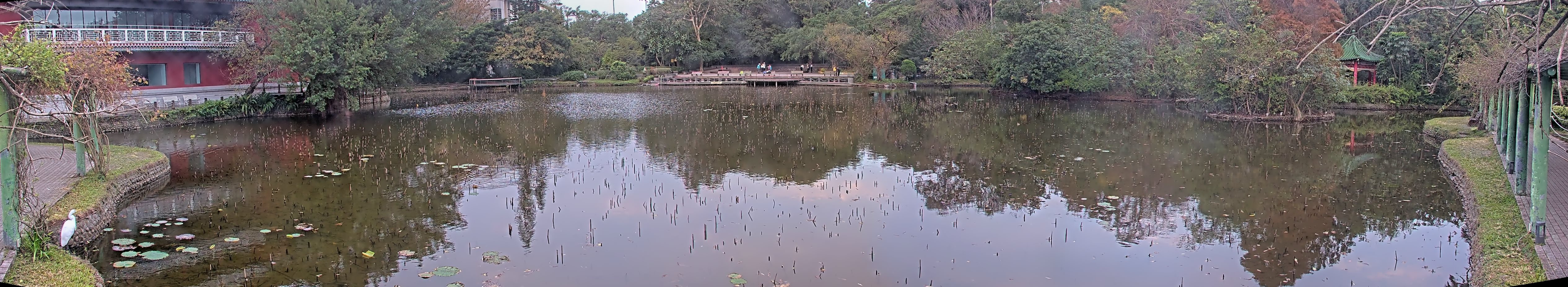 拍照日期：2025-01-01 時間：6時