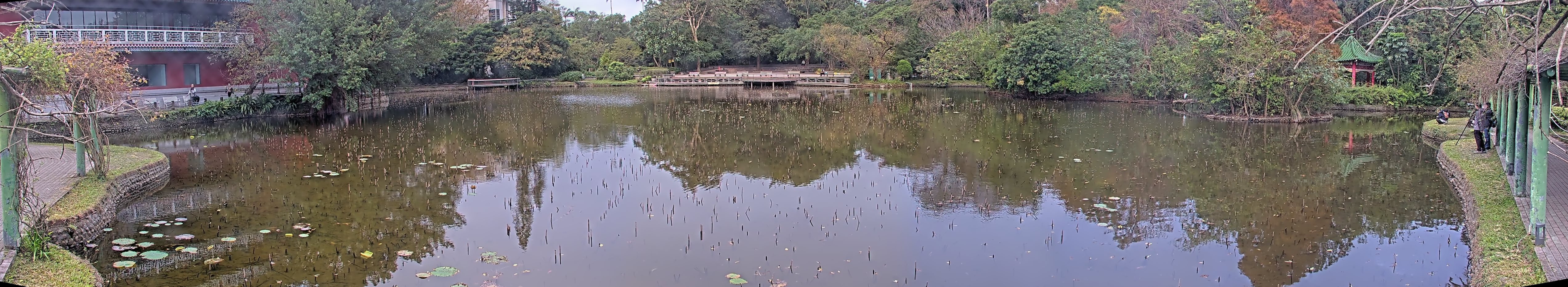 拍照日期：2025-01-01 時間：7時