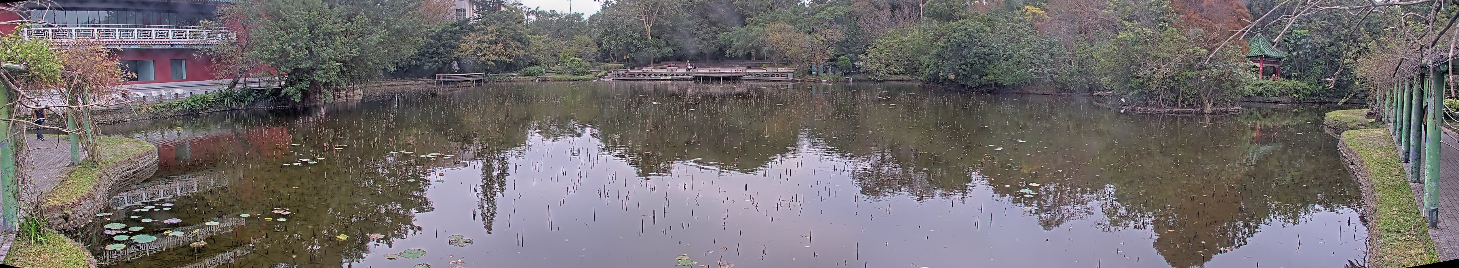 拍照日期：2025-01-01 時間：8時