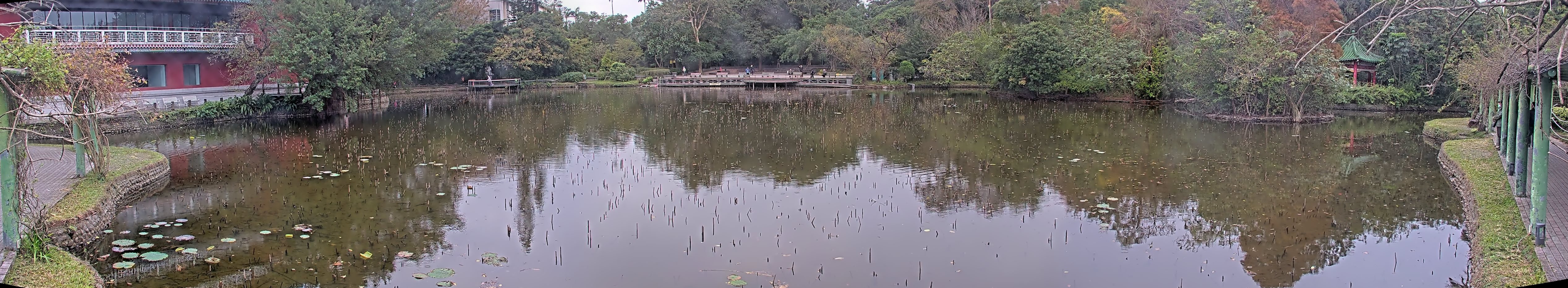 拍照日期：2025-01-01 時間：9時