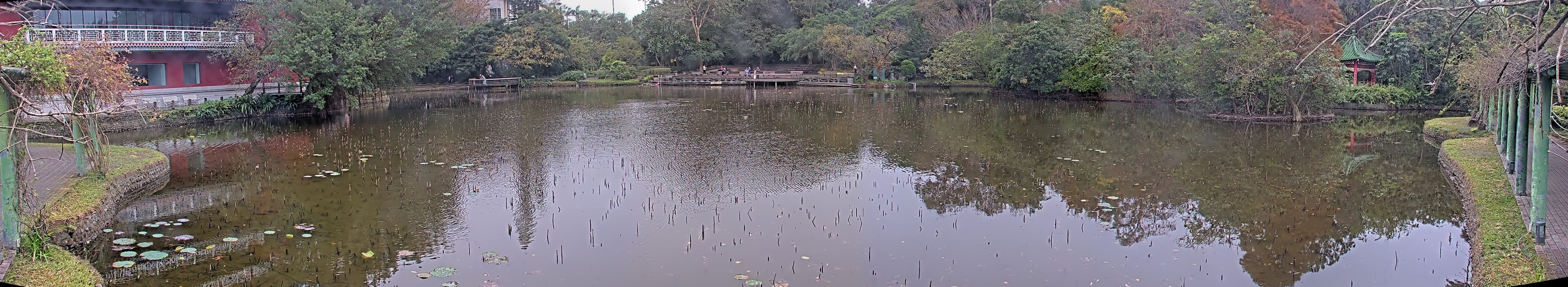 拍照日期：2025-01-01 時間：12時