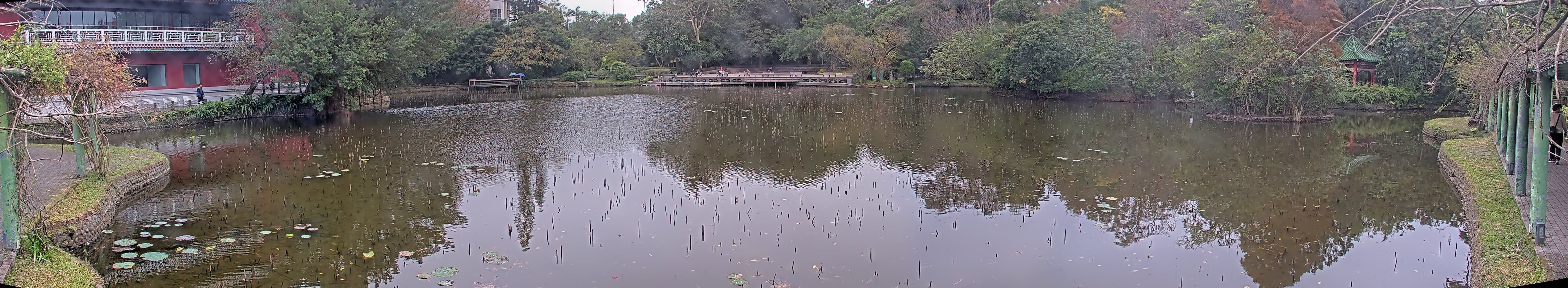 拍照日期：2025-01-01 時間：13時