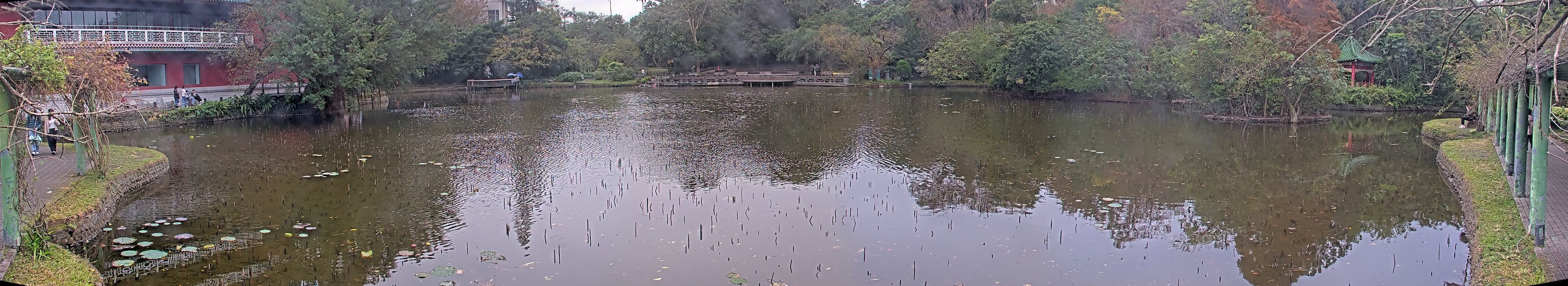 拍照日期：2025-01-01 時間：14時