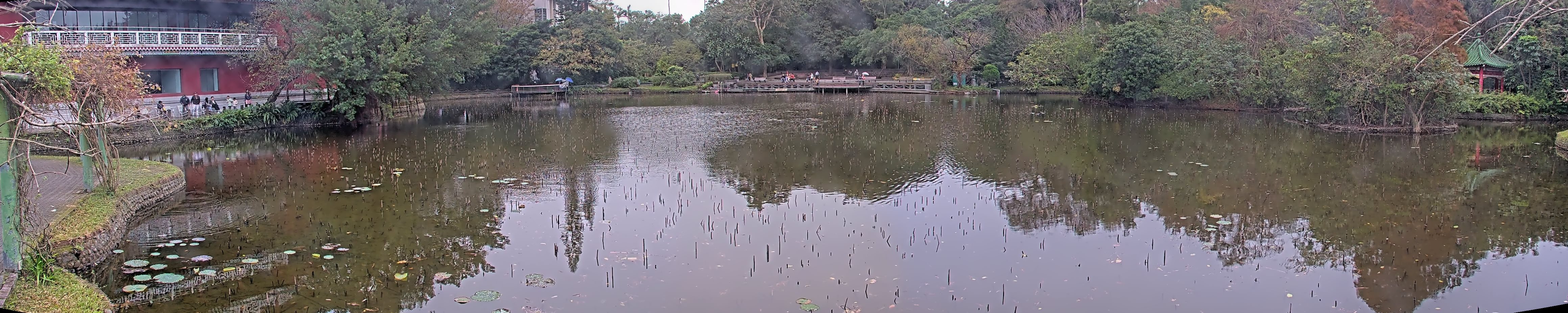 拍照日期：2025-01-01 時間：15時