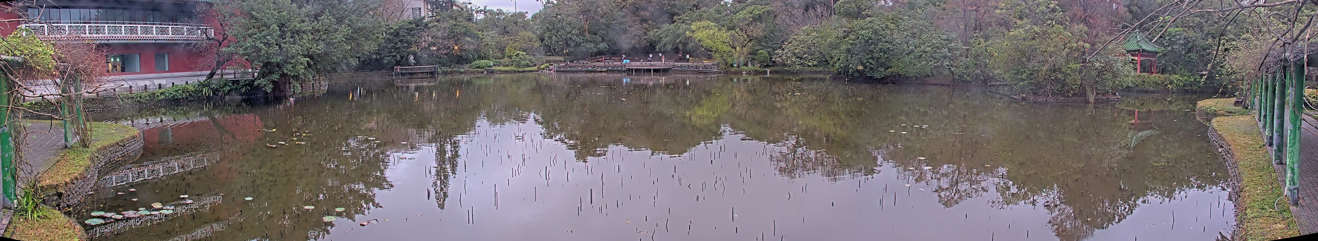 拍照日期：2025-02-02 時間：6時