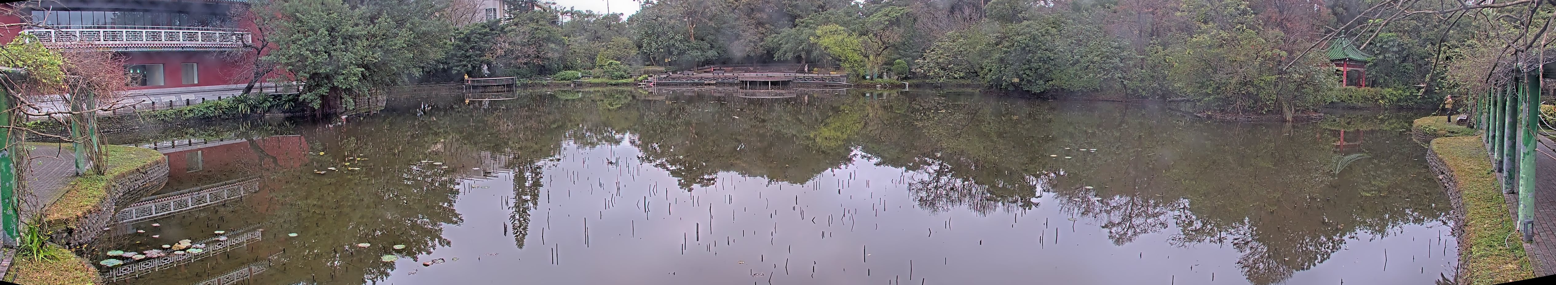 拍照日期：2025-02-02 時間：7時