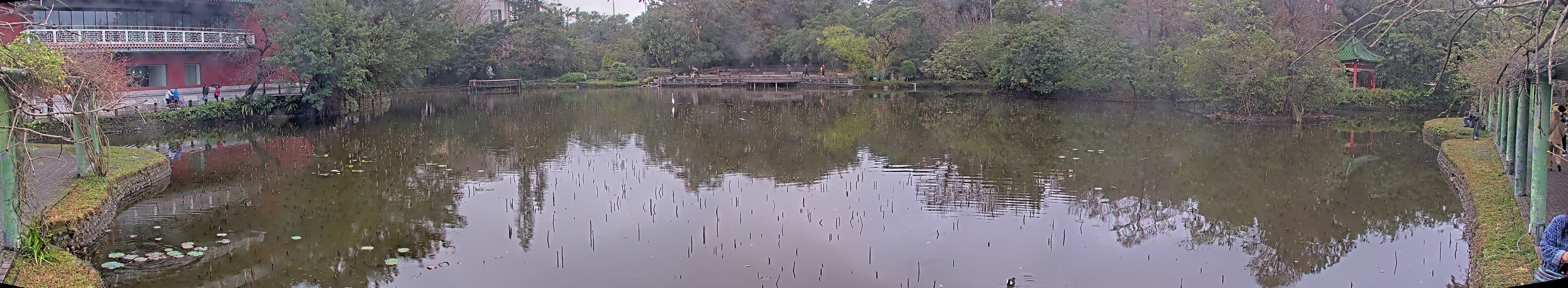 拍照日期：2025-02-02 時間：10時