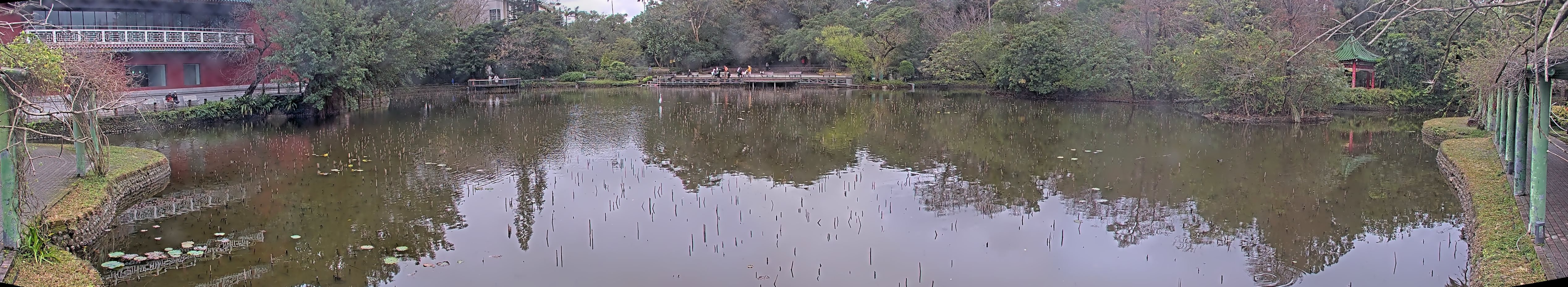 拍照日期：2025-02-02 時間：12時