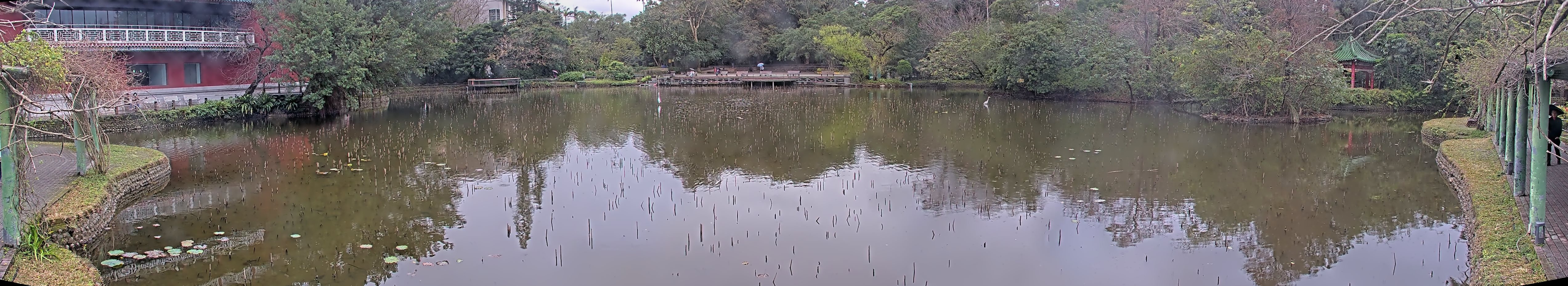 拍照日期：2025-02-02 時間：13時