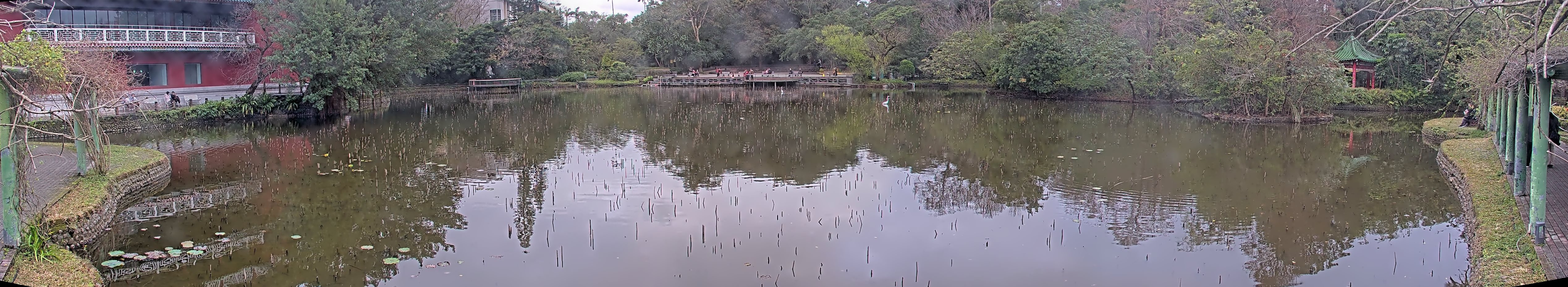 拍照日期：2025-02-02 時間：14時