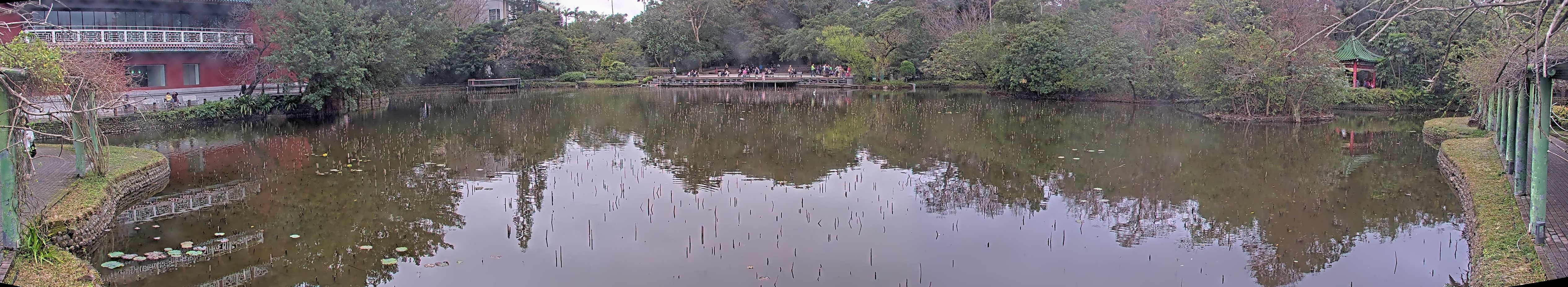 拍照日期：2025-02-02 時間：15時