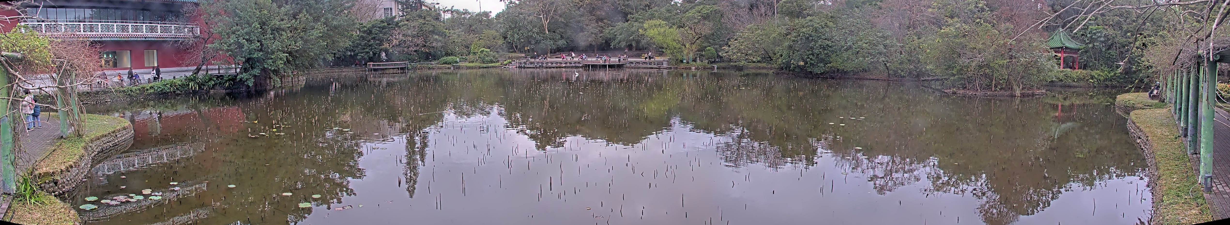 拍照日期：2025-02-02 時間：16時