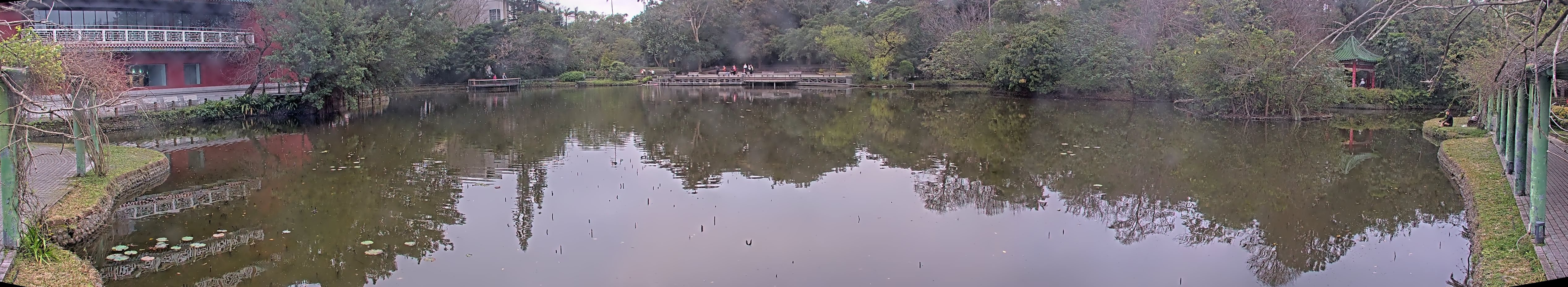 拍照日期:2025-02-16 時間:6時