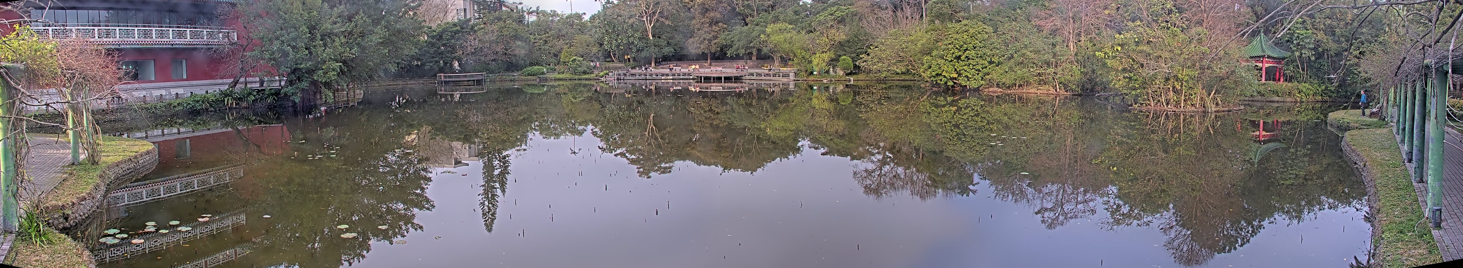 拍照日期:2025-02-16 時間:7時