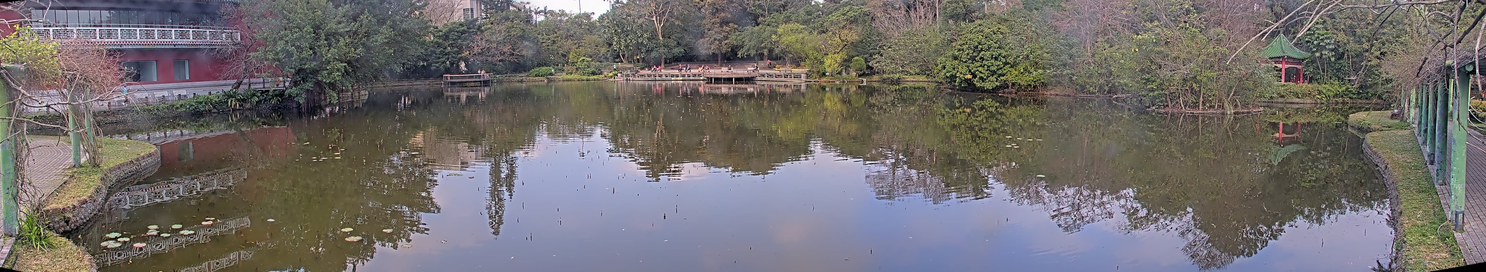 拍照日期:2025-02-16 時間:8時