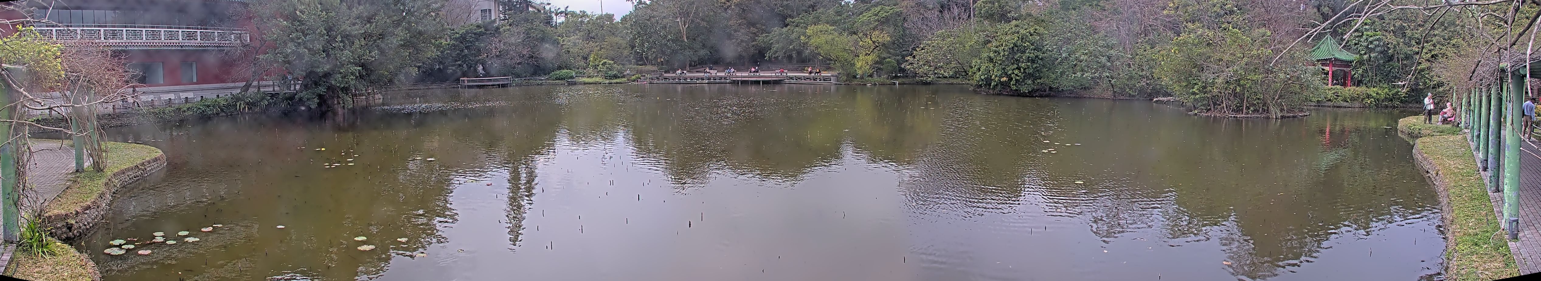 拍照日期:2025-02-16 時間:12時