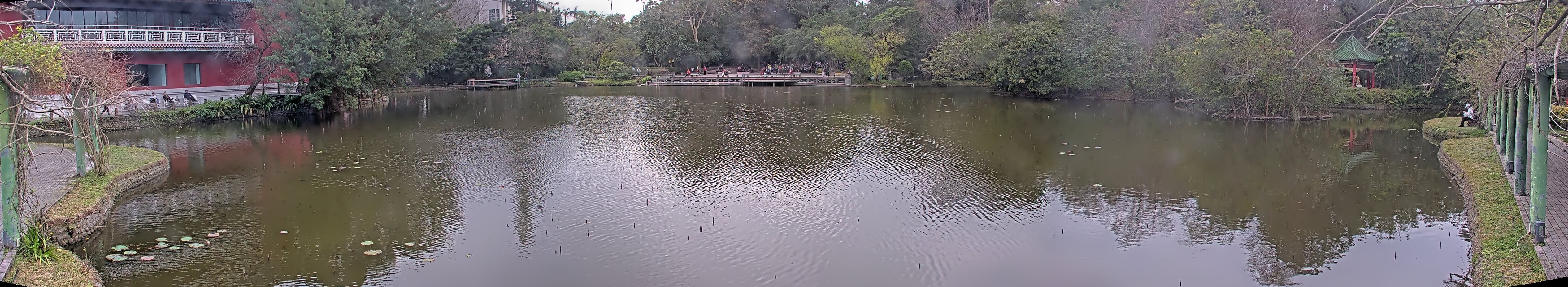 拍照日期:2025-02-16 時間:13時