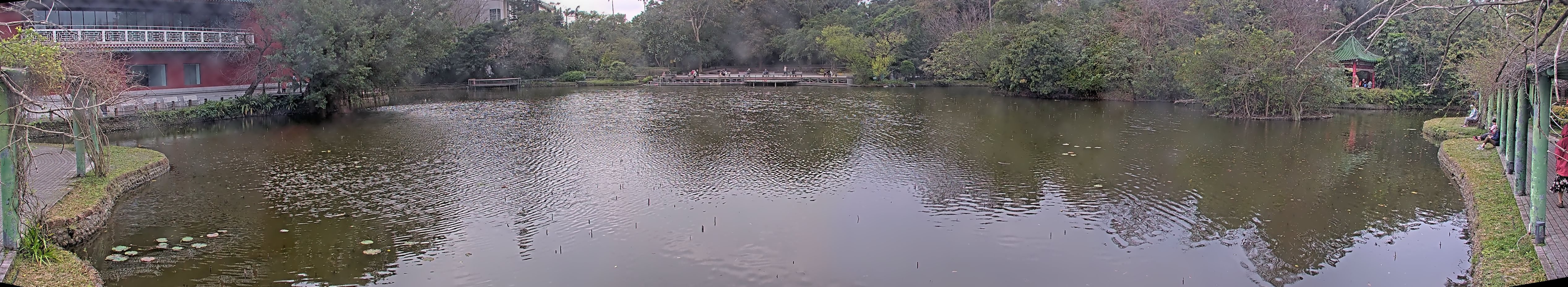 拍照日期:2025-02-16 時間:14時