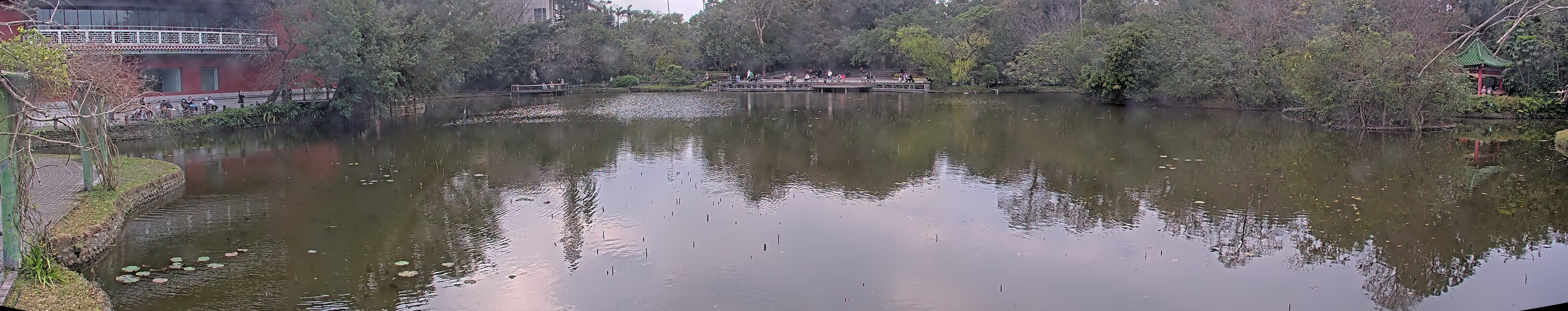 拍照日期:2025-02-16 時間:15時