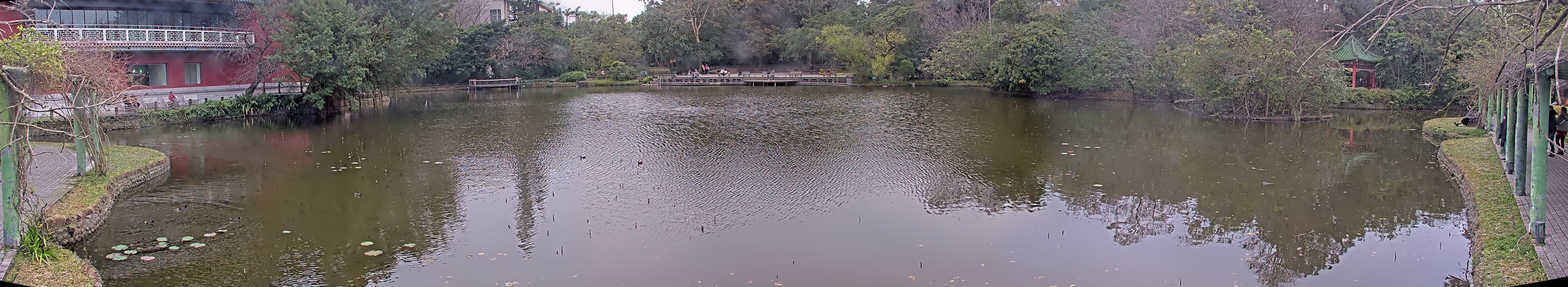 拍照日期:2025-02-16 時間:16時