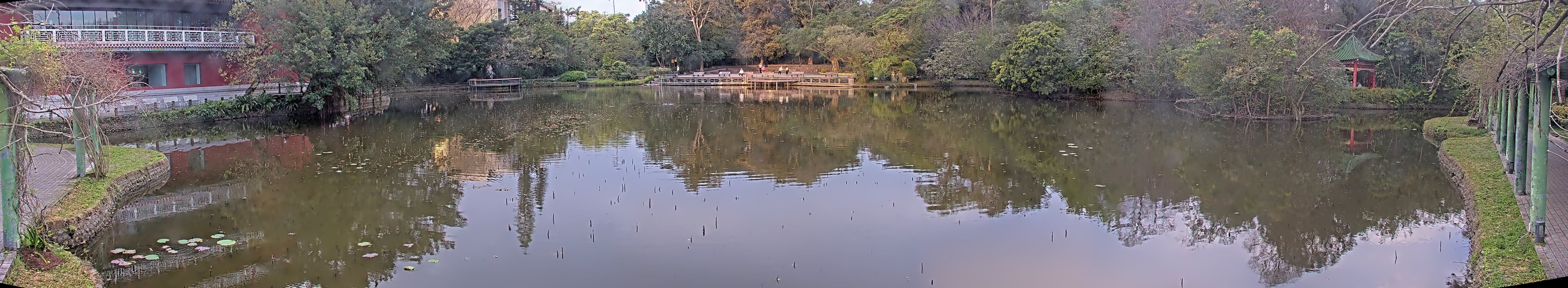 拍照日期:2025-03-03 時間:6時