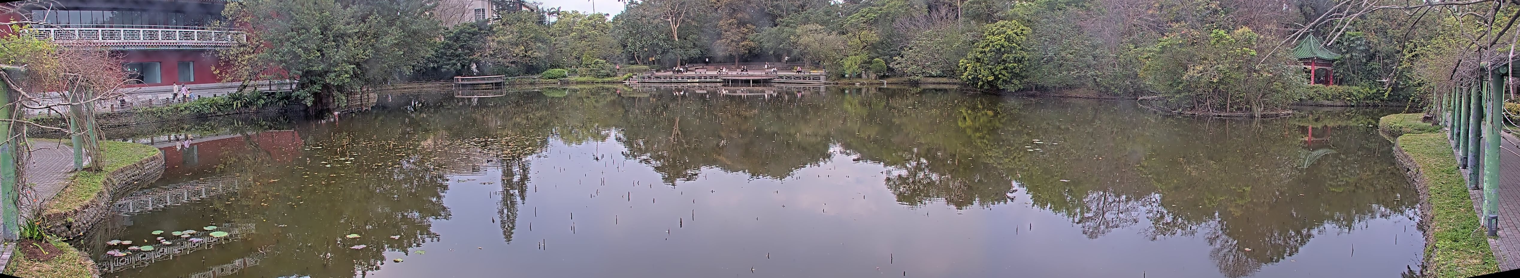 拍照日期:2025-03-03 時間:7時