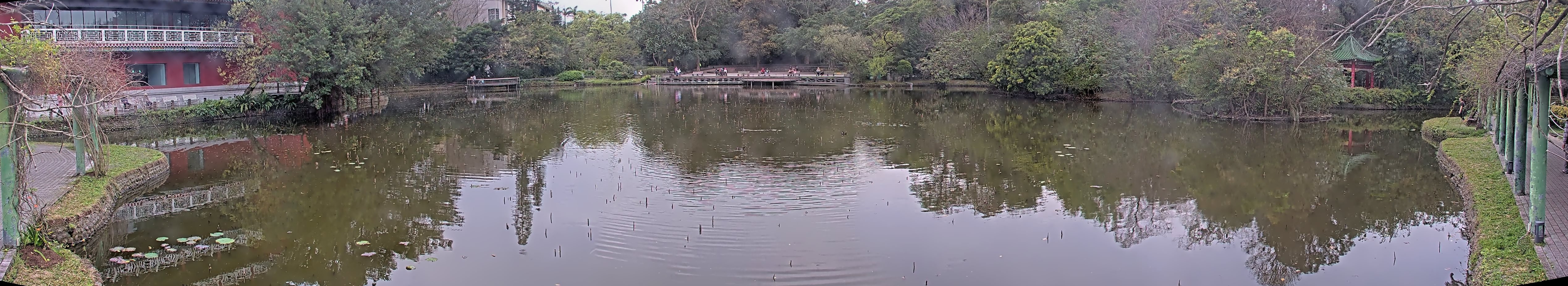 拍照日期:2025-03-03 時間:8時