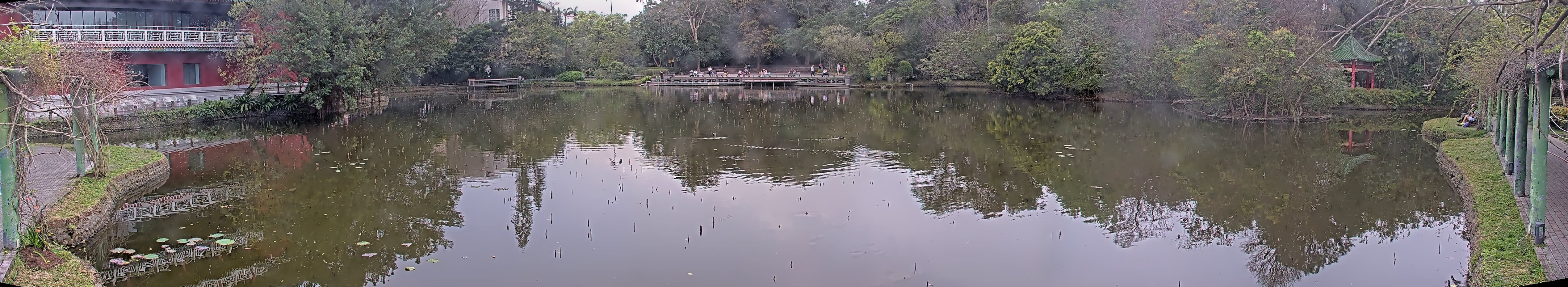 拍照日期:2025-03-03 時間:10時