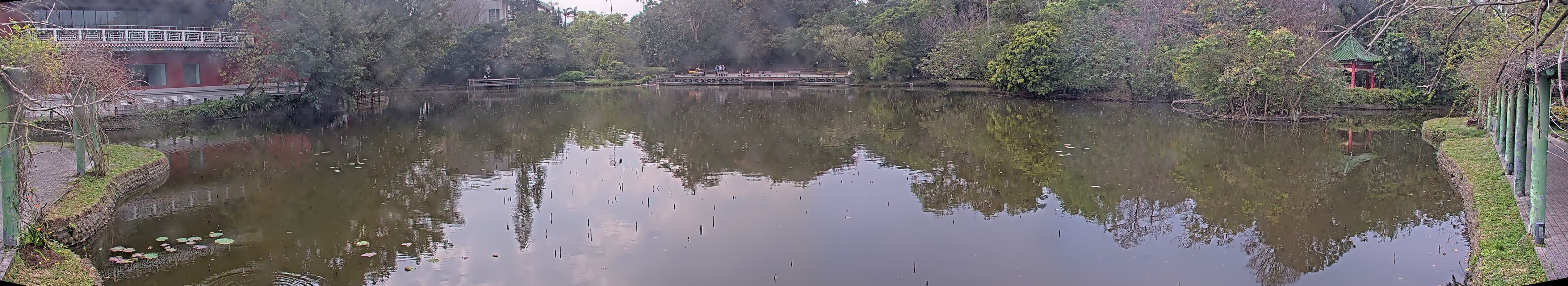 拍照日期:2025-03-03 時間:13時