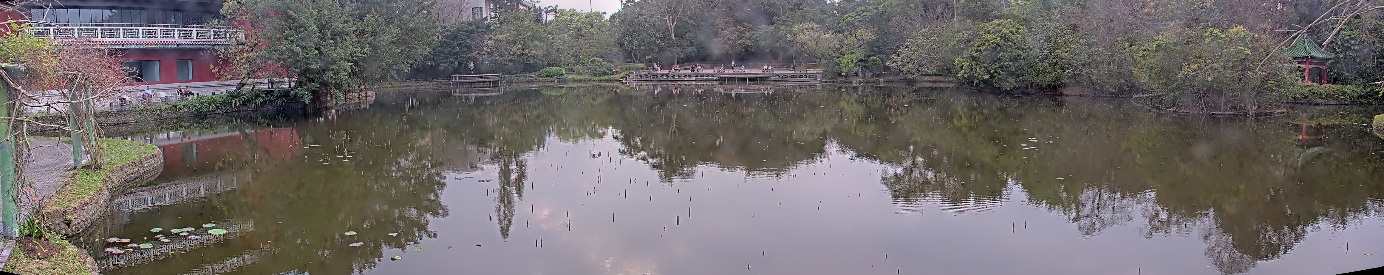 拍照日期:2025-03-03 時間:14時