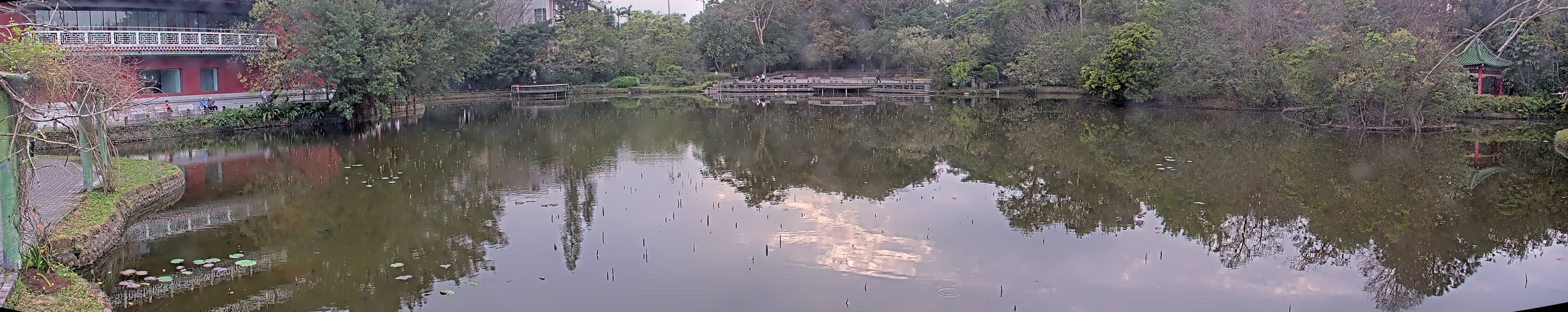 拍照日期:2025-03-03 時間:15時