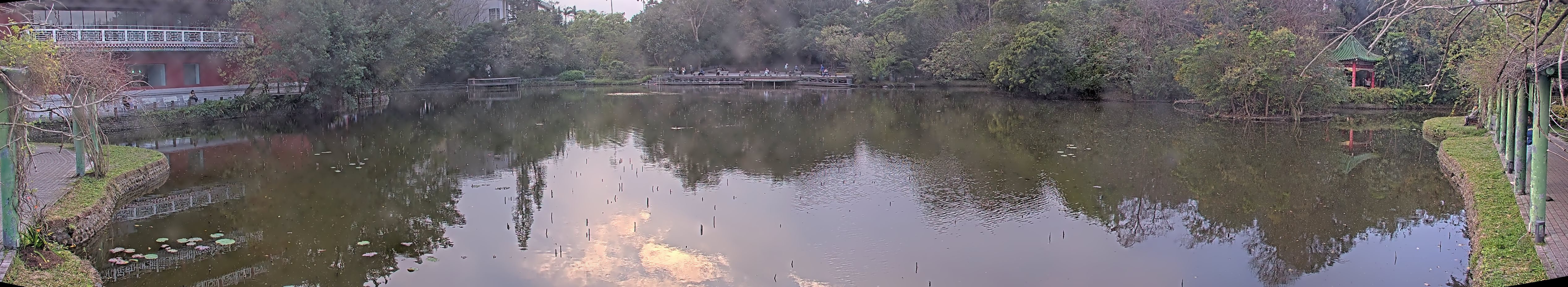 拍照日期:2025-03-03 時間:16時