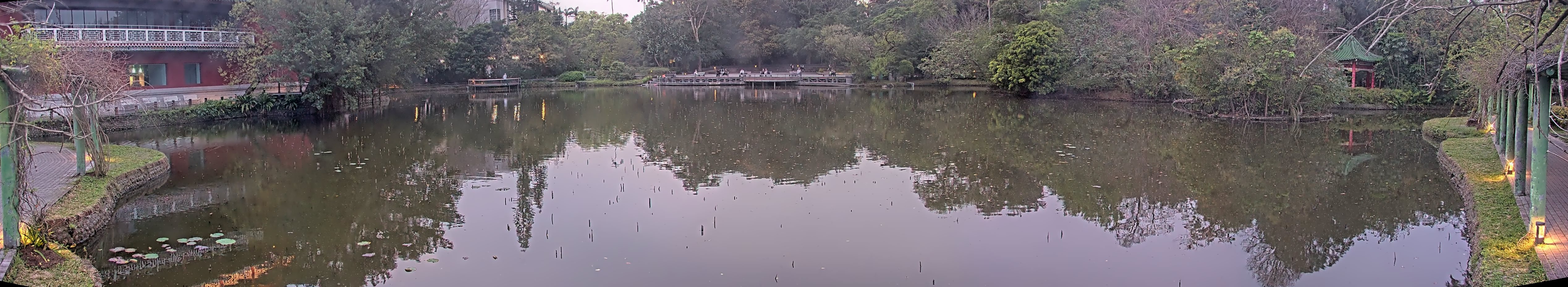 拍照日期:2025-03-03 時間:17時