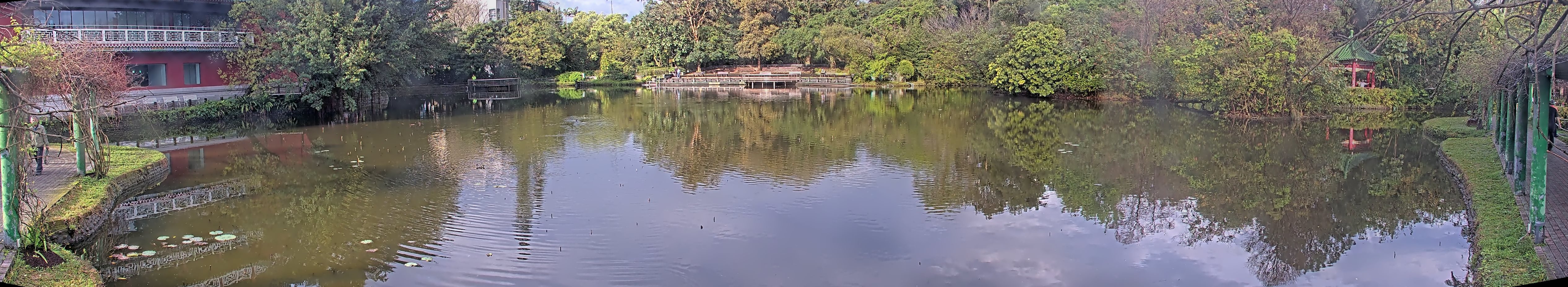 拍照日期:2025-03-04 時間:7時