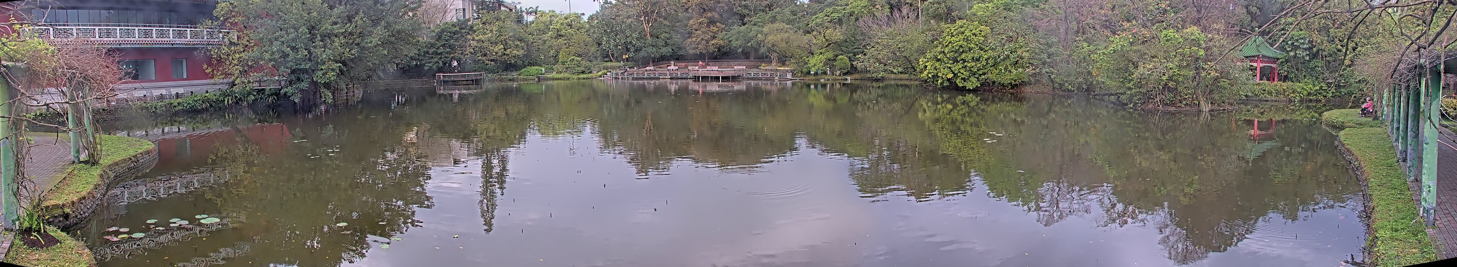 拍照日期:2025-03-04 時間:8時