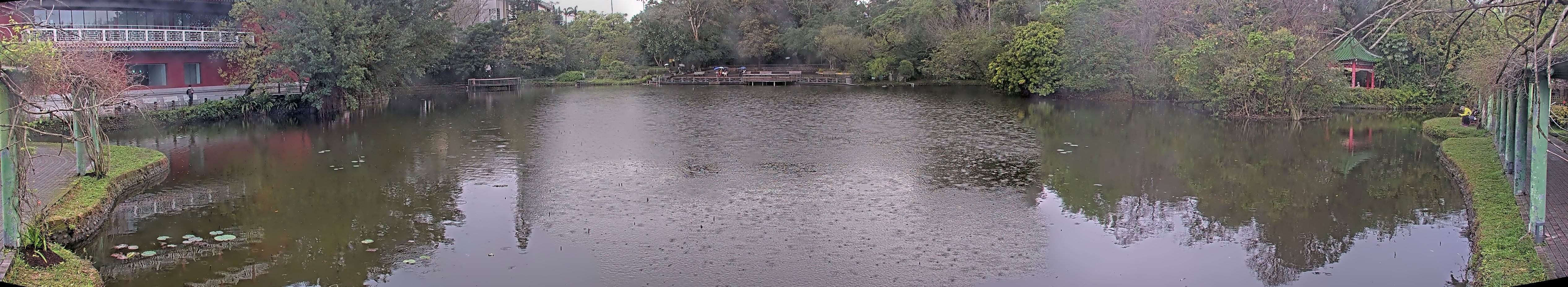 拍照日期:2025-03-04 時間:10時