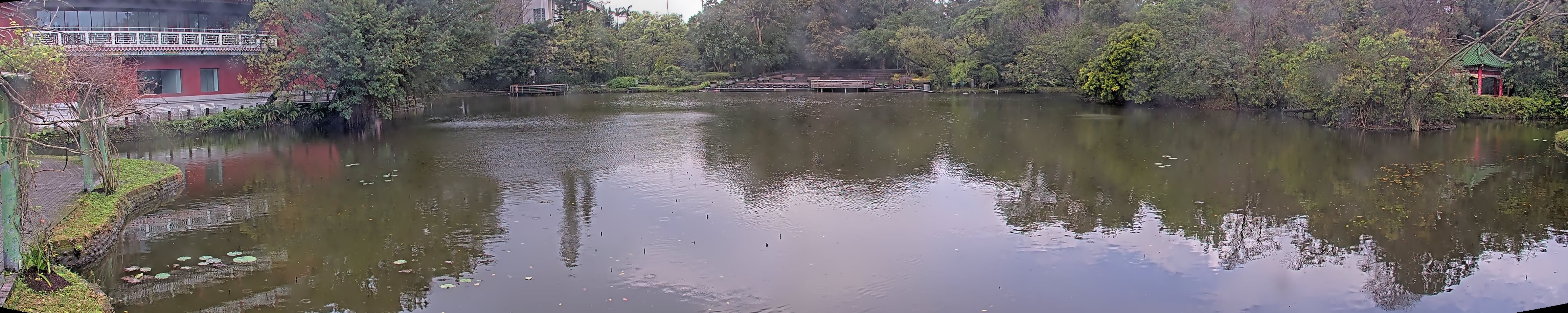 拍照日期:2025-03-04 時間:11時