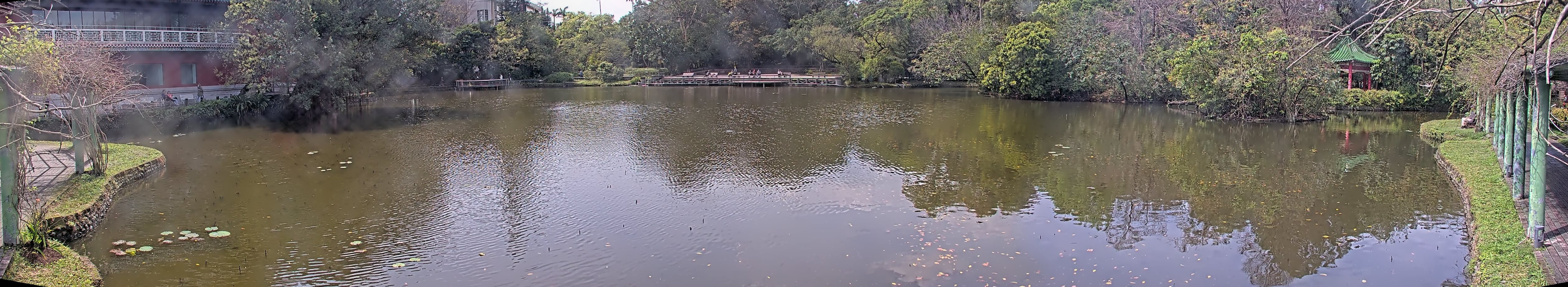 拍照日期:2025-03-04 時間:12時