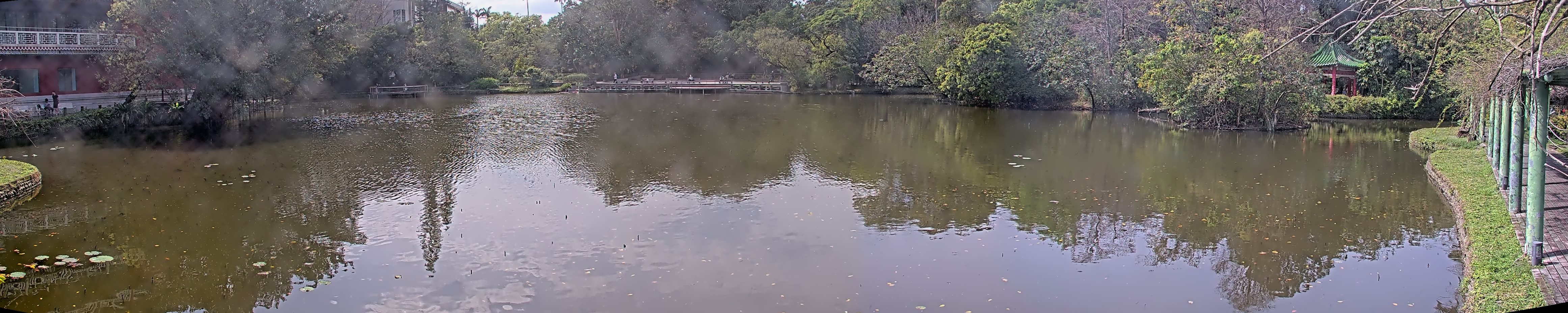 拍照日期:2025-03-04 時間:13時