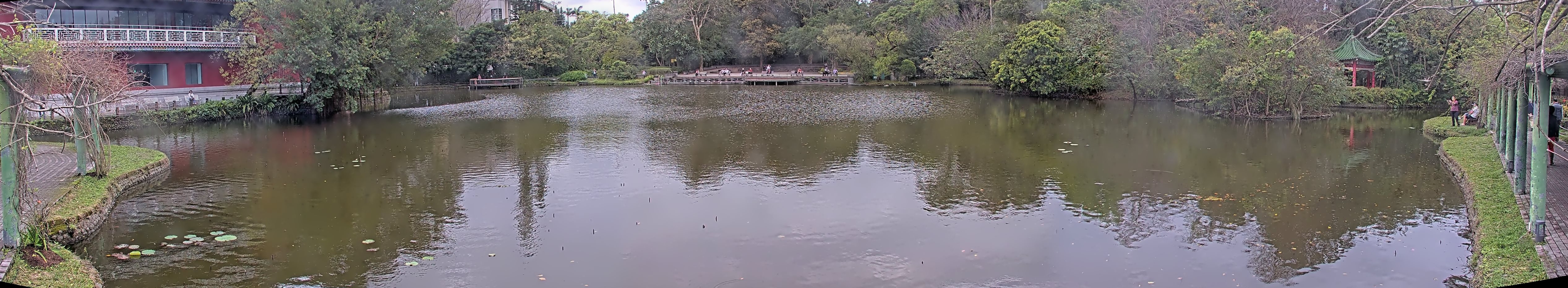 拍照日期:2025-03-04 時間:14時