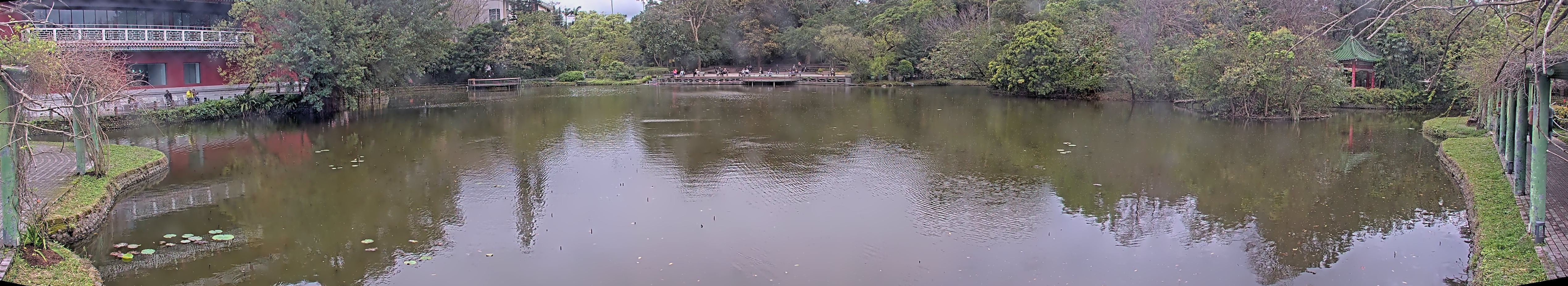 拍照日期:2025-03-04 時間:15時