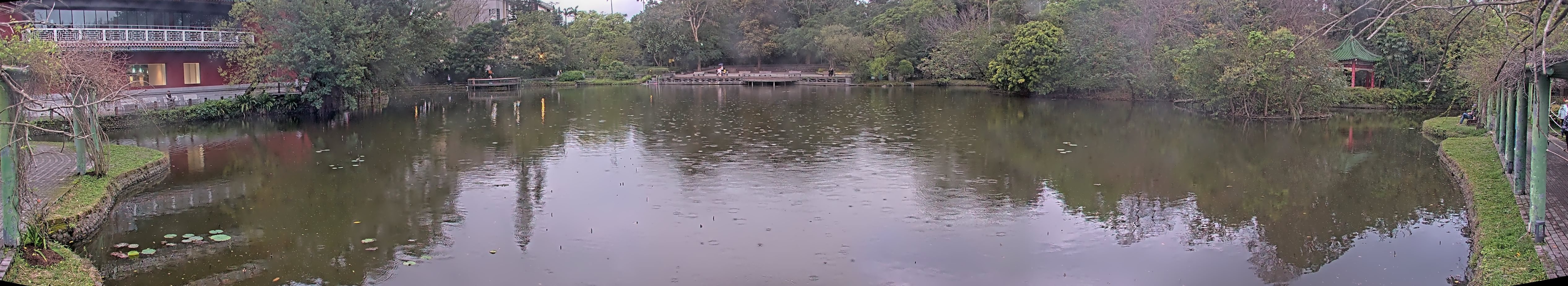 拍照日期:2025-03-04 時間:16時