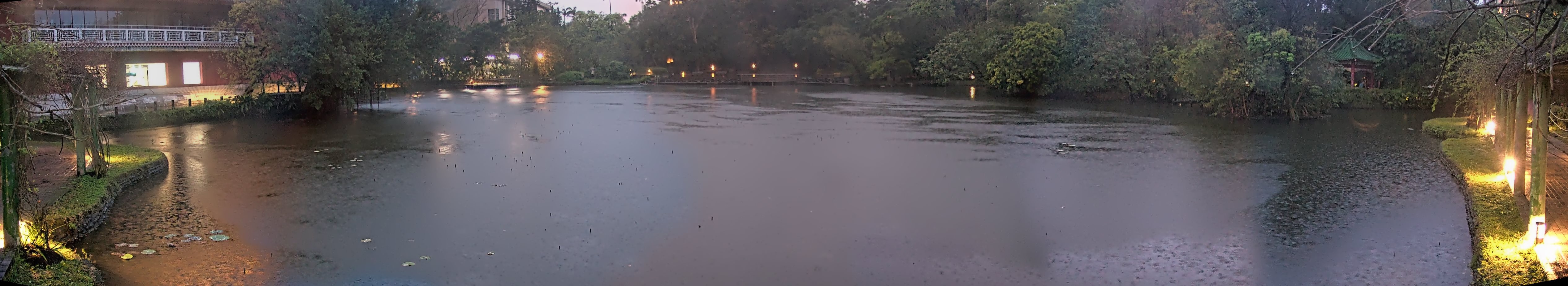 拍照日期:2025-03-04 時間:17時