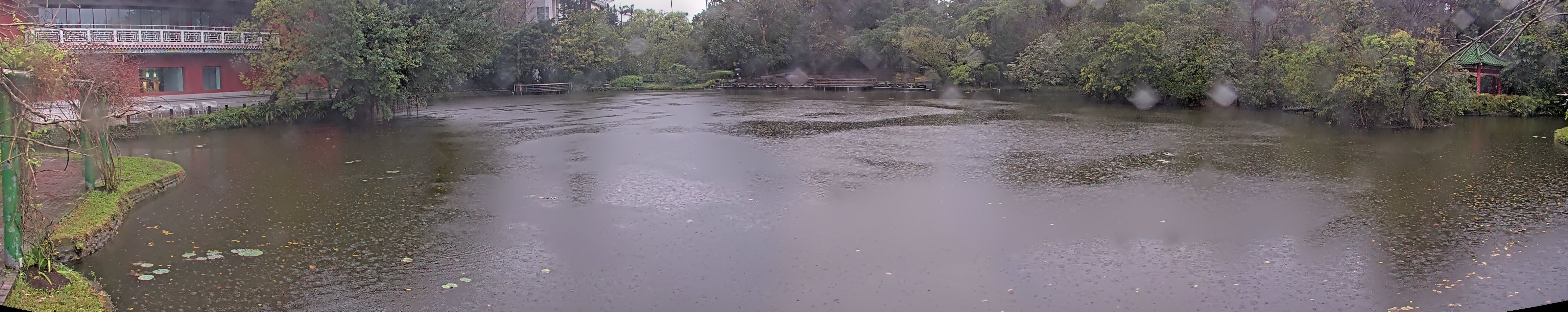 拍照日期:2025-03-06 時間:6時