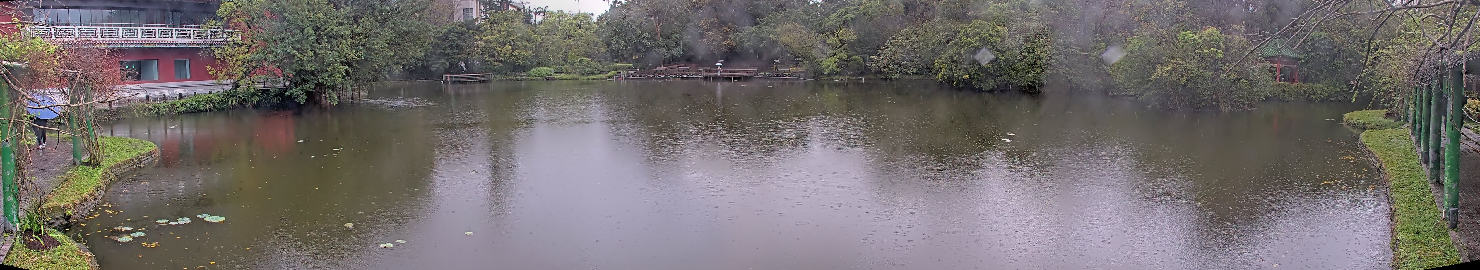 拍照日期:2025-03-06 時間:7時