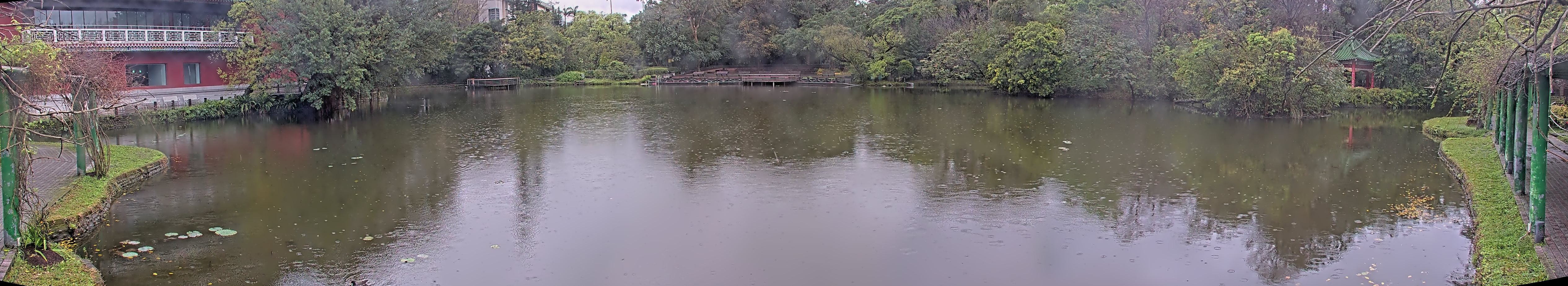 拍照日期:2025-03-06 時間:8時