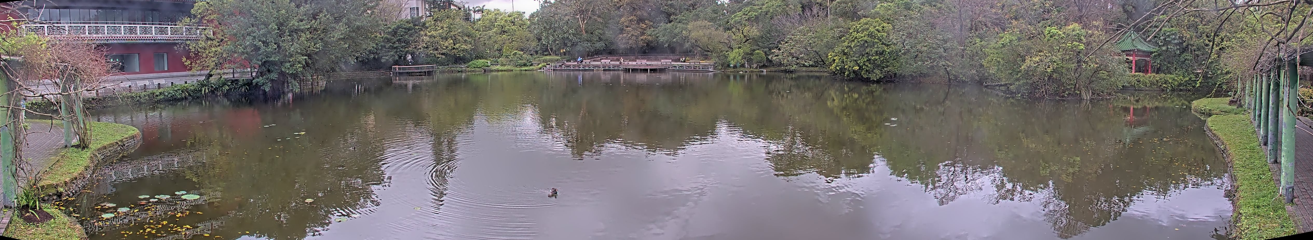 拍照日期:2025-03-06 時間:10時