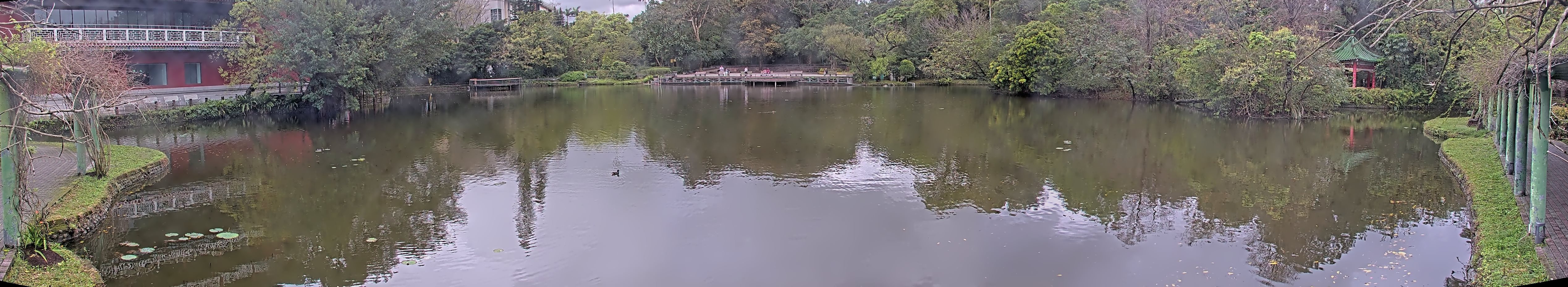 拍照日期:2025-03-06 時間:11時