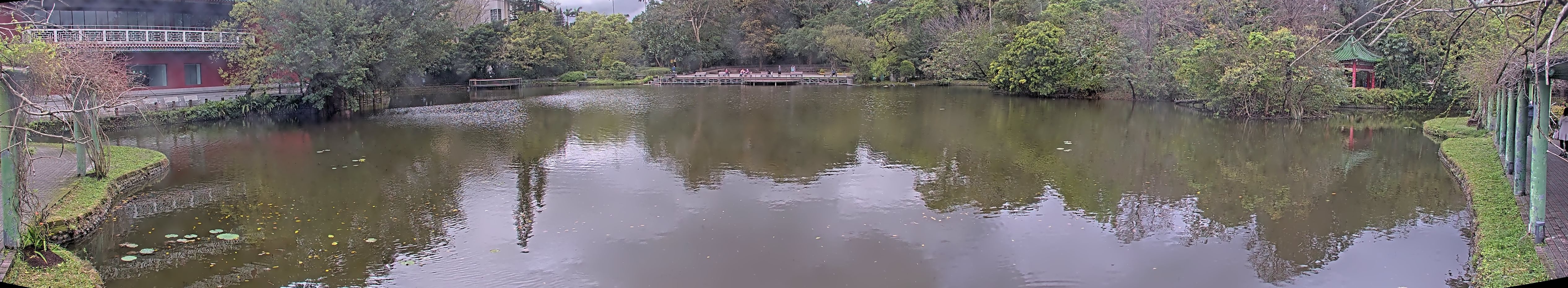 拍照日期:2025-03-06 時間:12時