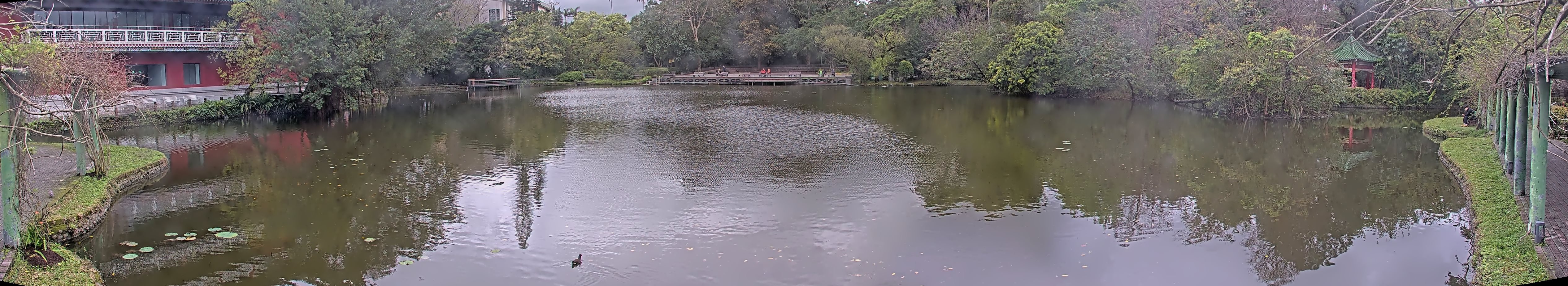 拍照日期:2025-03-06 時間:13時